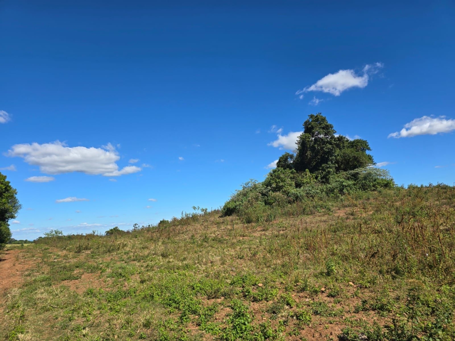 Terreno à venda, 77000m² - Foto 26