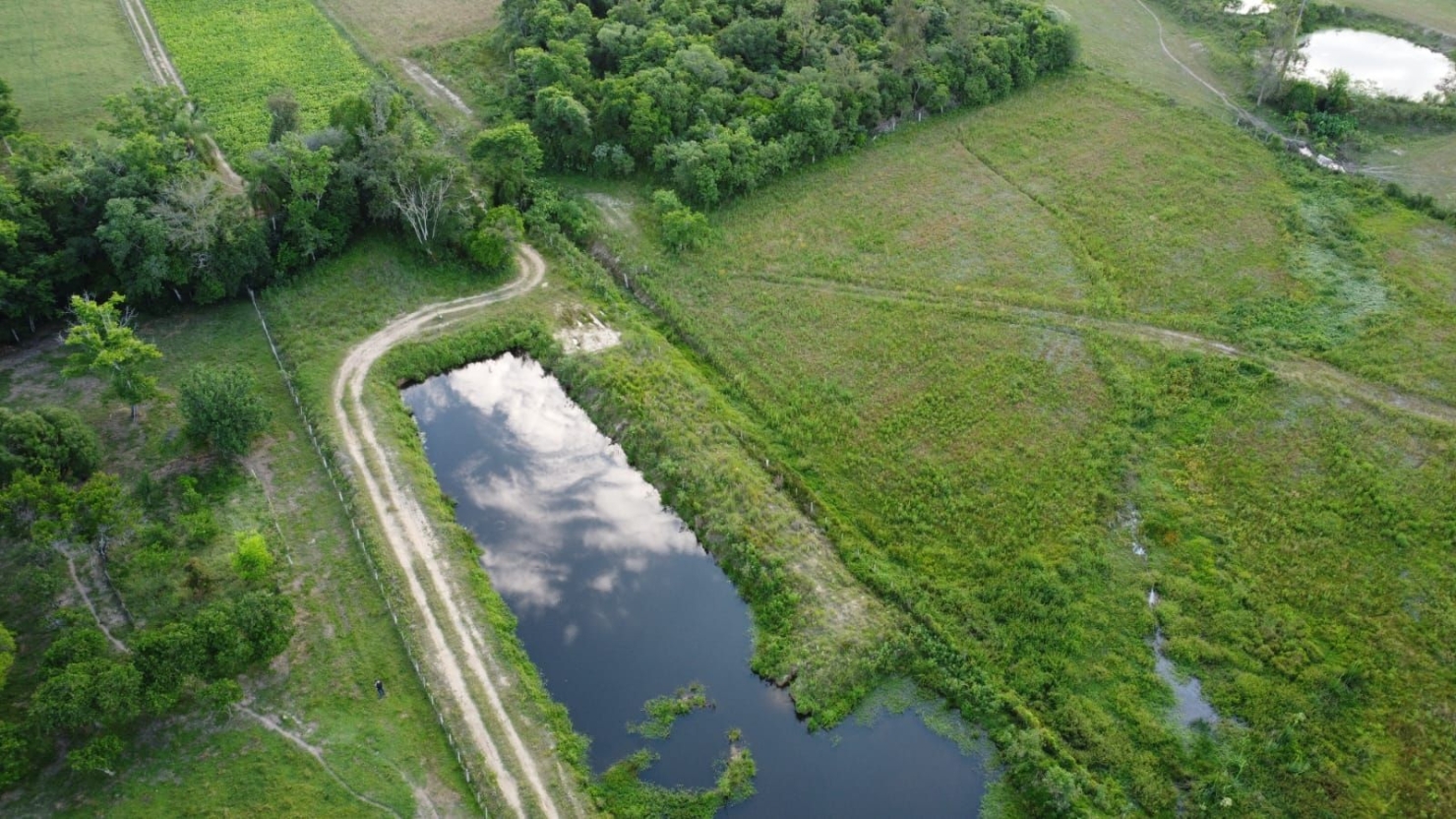 Terreno, 4 hectares - Foto 1