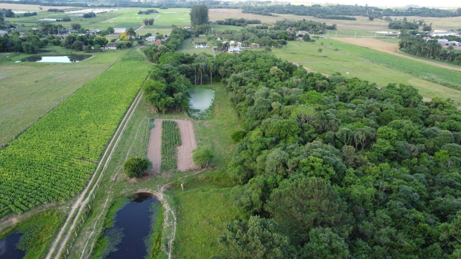 Terreno, 4 hectares - Foto 4