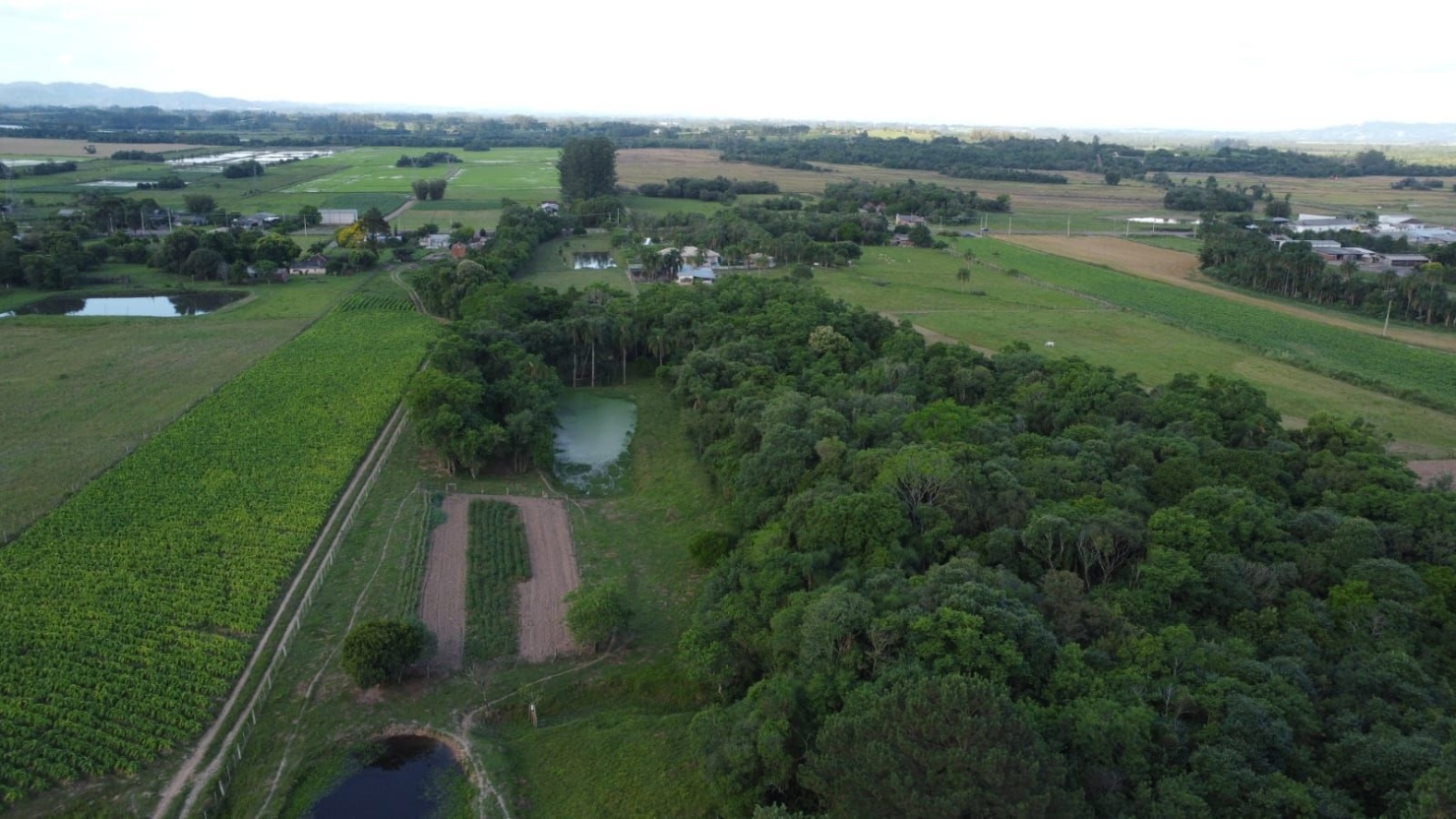 Terreno, 4 hectares - Foto 5