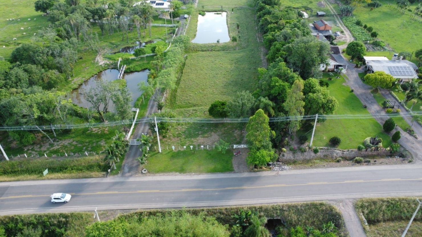 Terreno, 4 hectares - Foto 6