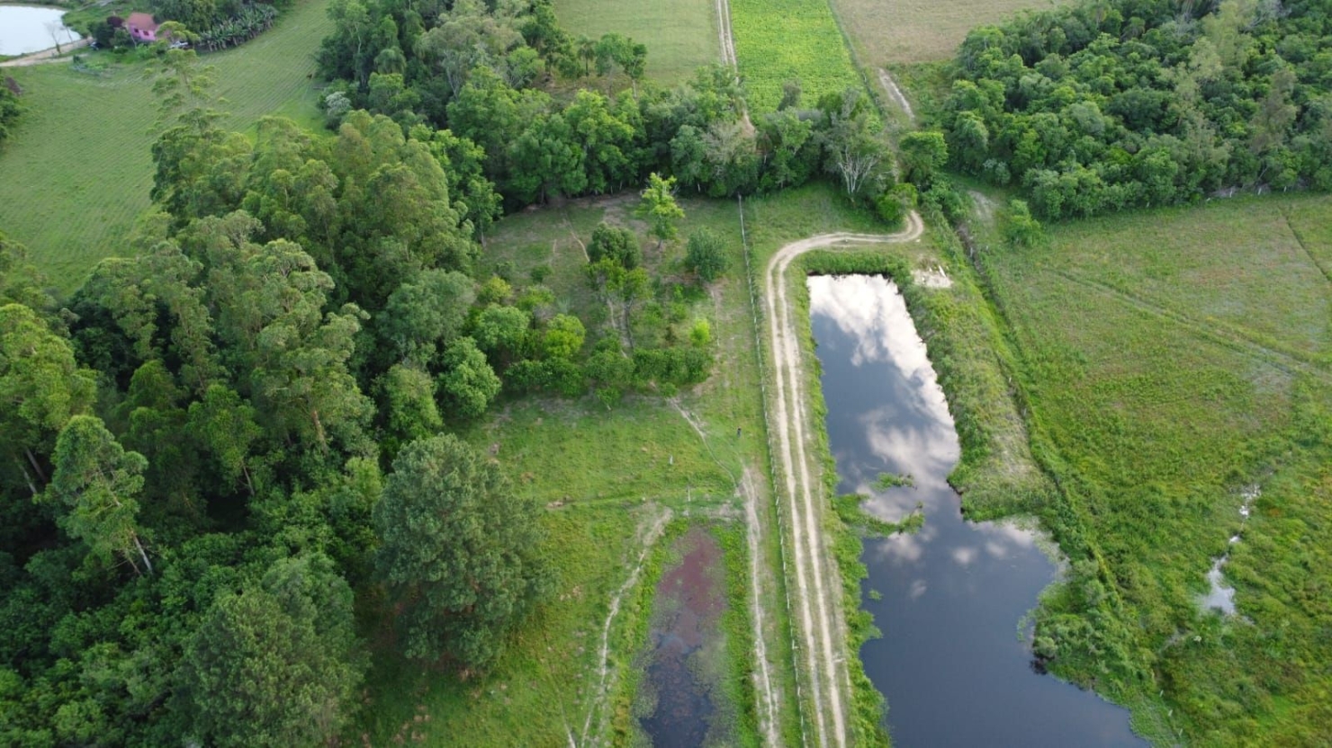 Terreno, 4 hectares - Foto 8