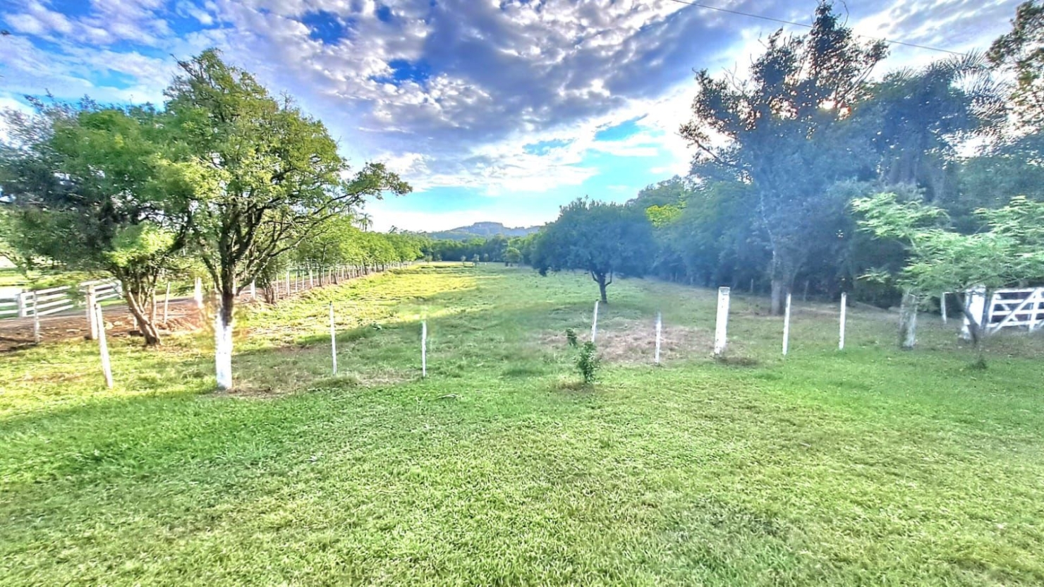 Terreno, 4 hectares - Foto 11