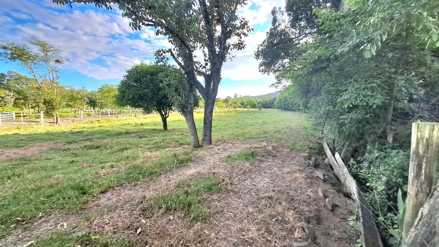 Terreno, 4 hectares - Foto 12