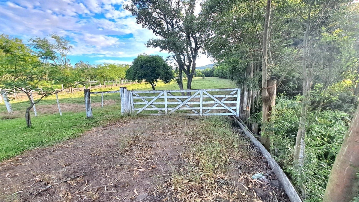 Terreno, 4 hectares - Foto 14