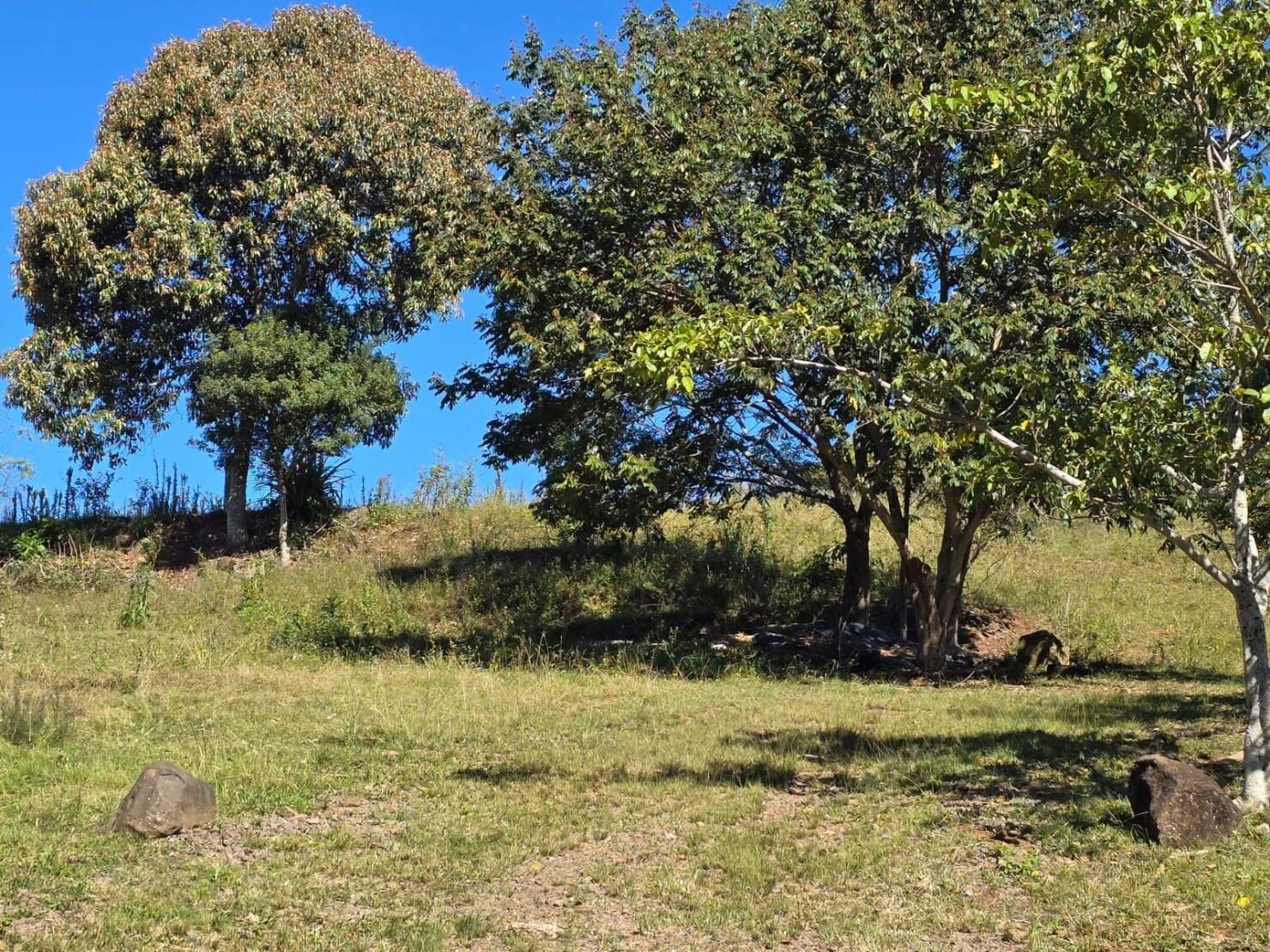 Terreno à venda - Foto 11