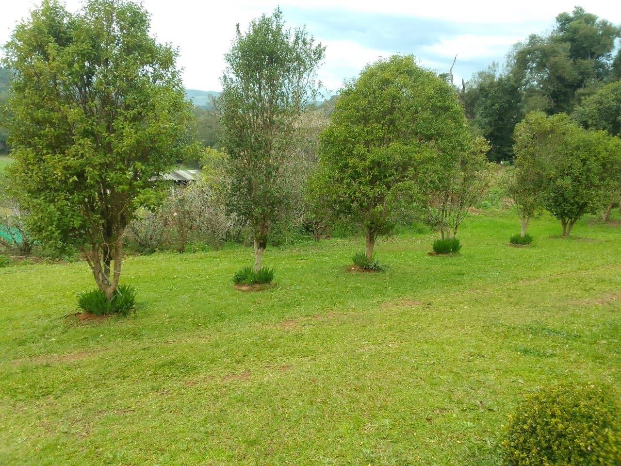 Terreno à venda, 200000m² - Foto 4