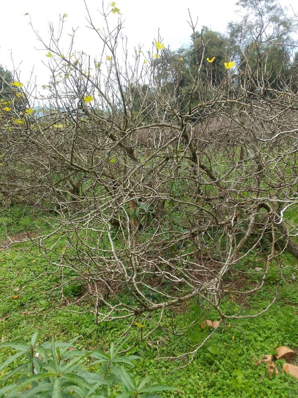 Terreno à venda, 200000m² - Foto 14