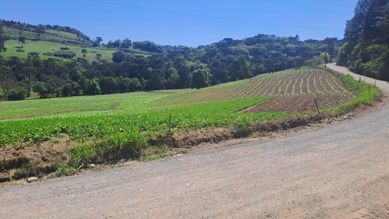 Terreno à venda, 158000m² - Foto 1