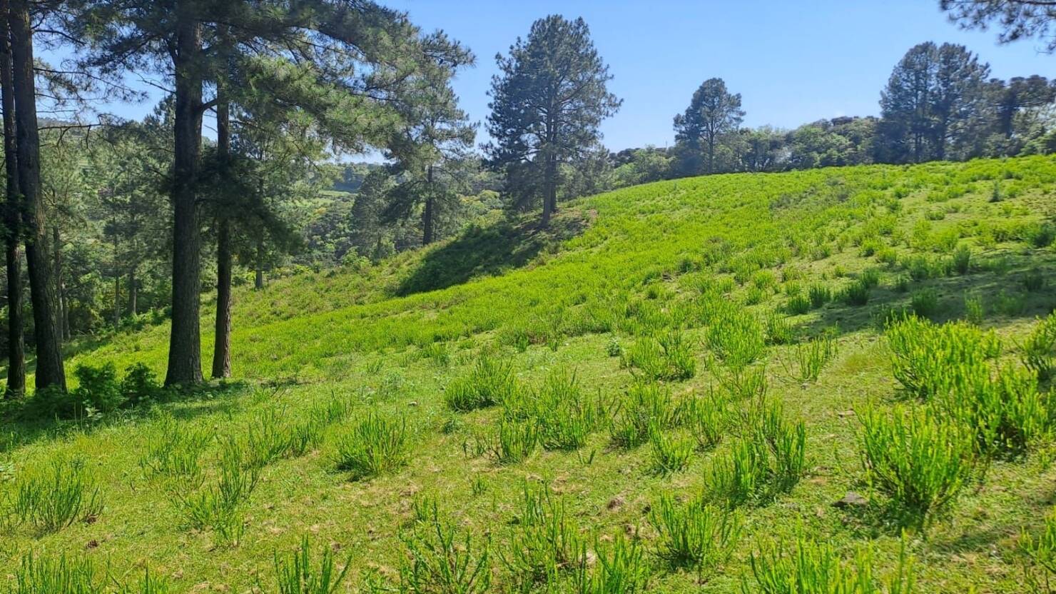 Terreno à venda, 158000m² - Foto 2