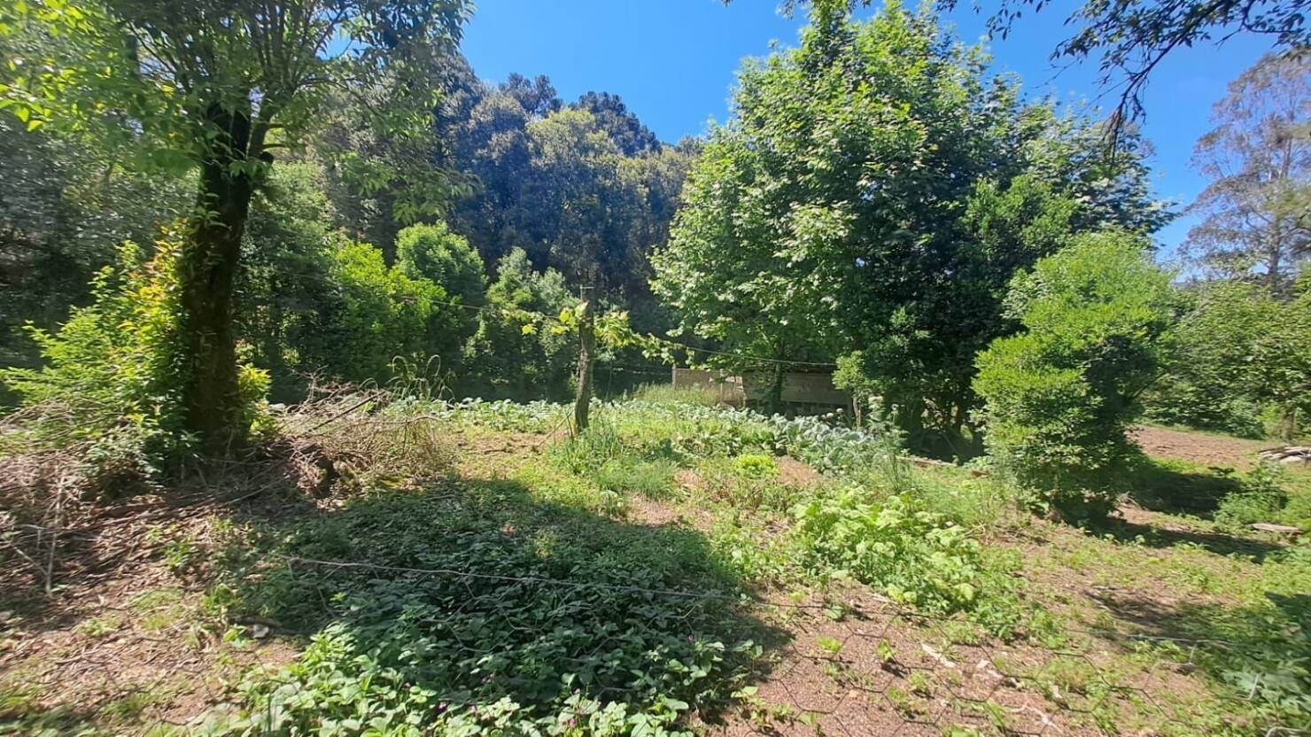 Terreno à venda, 158000m² - Foto 4