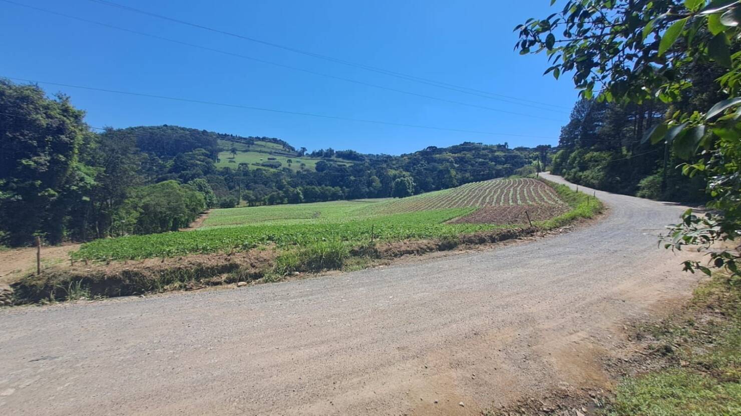 Terreno à venda, 158000m² - Foto 5