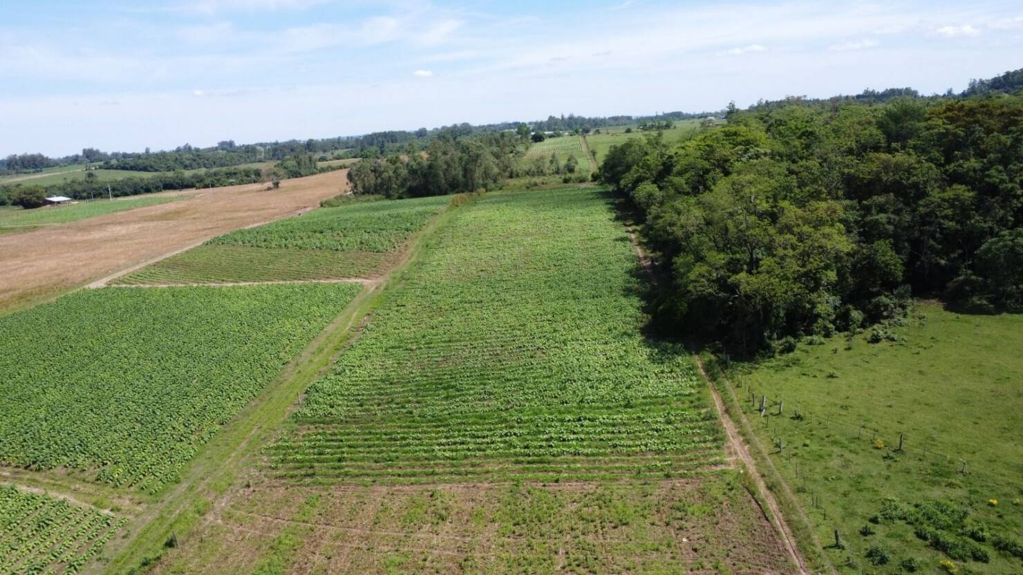 Fazenda à venda com 2 quartos, 68000m² - Foto 4