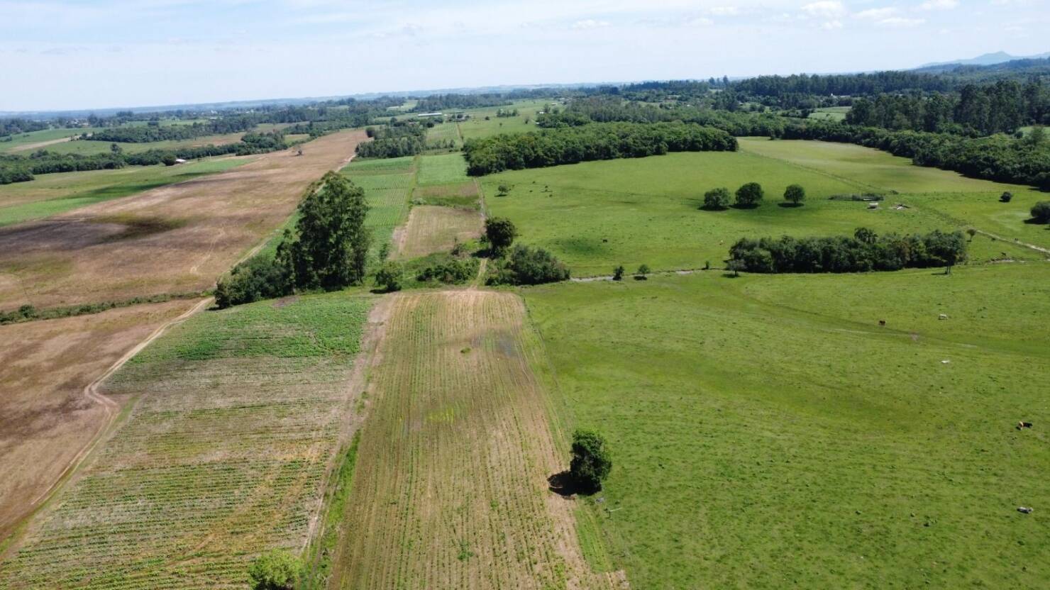 Fazenda à venda com 2 quartos, 68000m² - Foto 5
