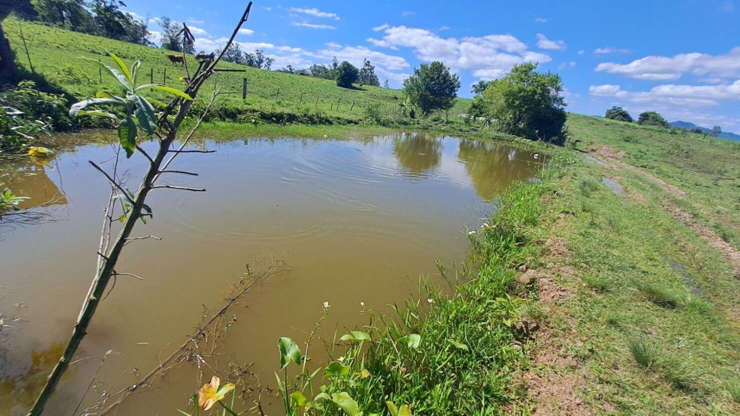 Fazenda à venda com 2 quartos, 68000m² - Foto 7