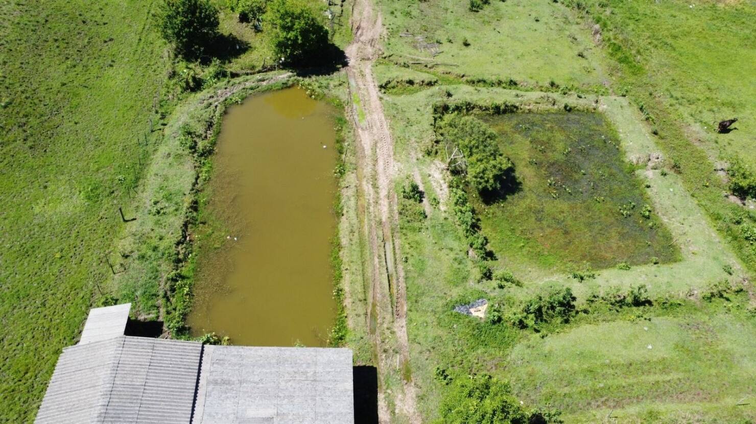 Fazenda à venda com 2 quartos, 68000m² - Foto 8