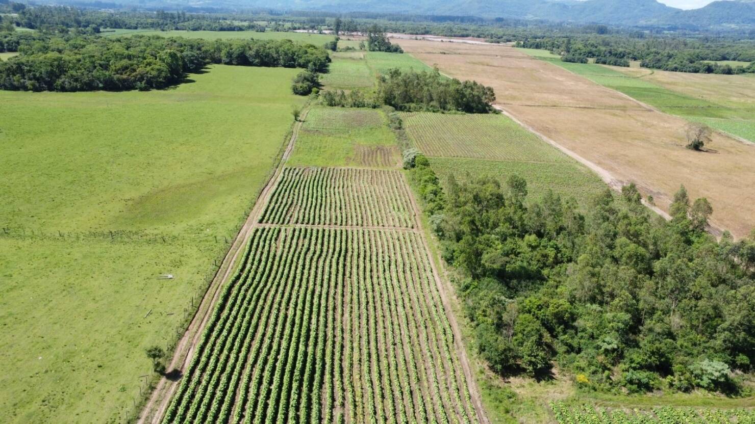 Fazenda à venda com 2 quartos, 68000m² - Foto 9