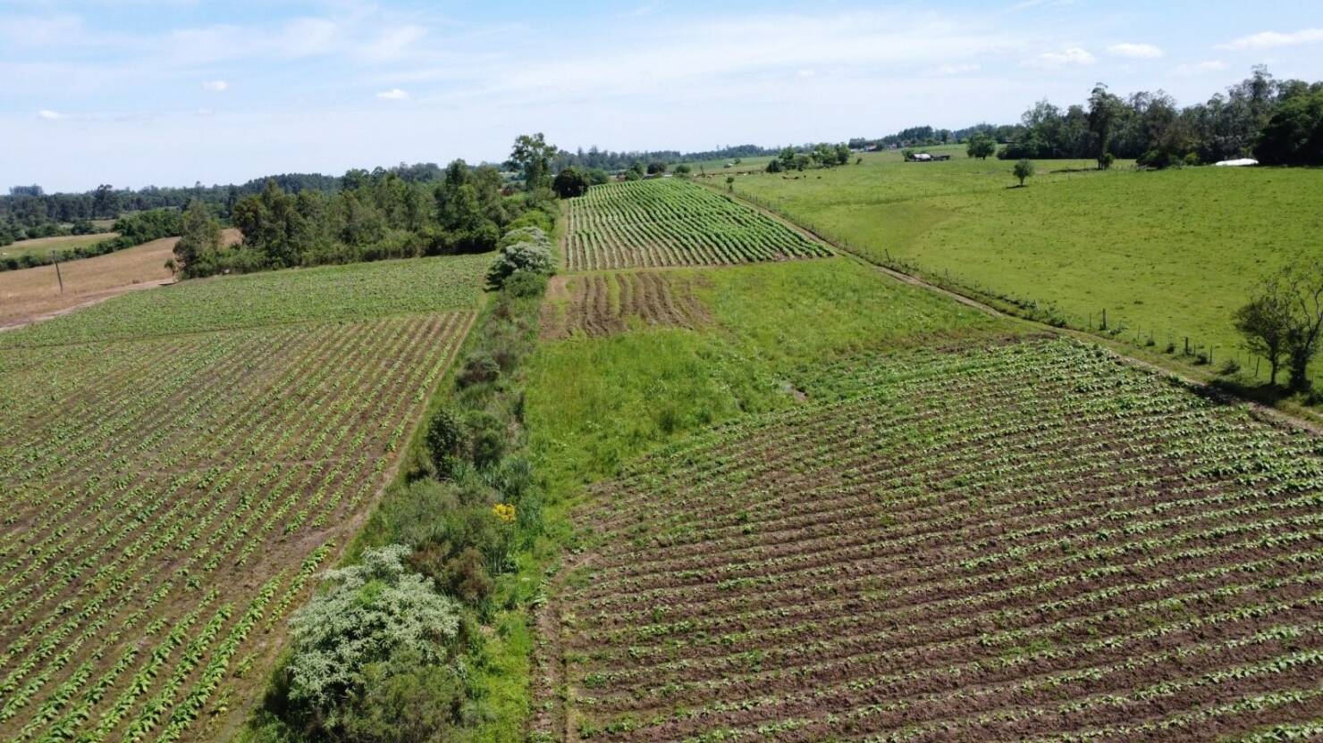 Fazenda à venda com 2 quartos, 68000m² - Foto 10