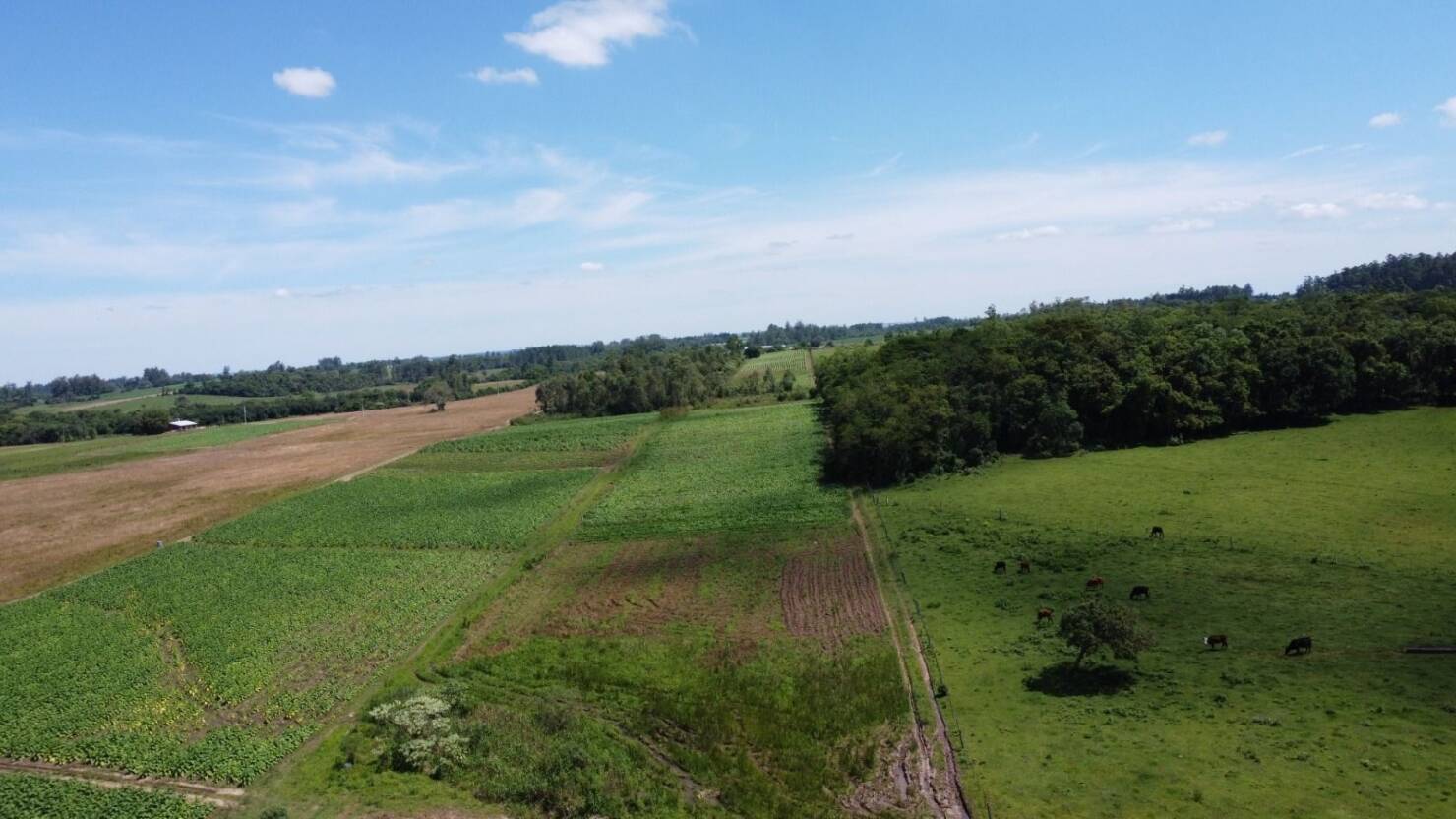 Fazenda à venda com 2 quartos, 68000m² - Foto 11