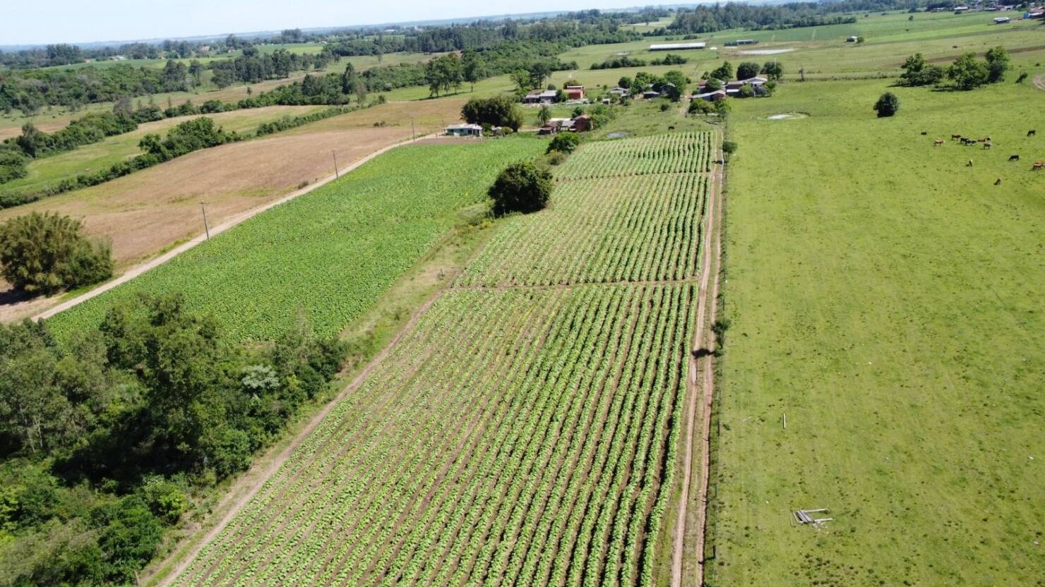 Fazenda à venda com 2 quartos, 68000m² - Foto 14