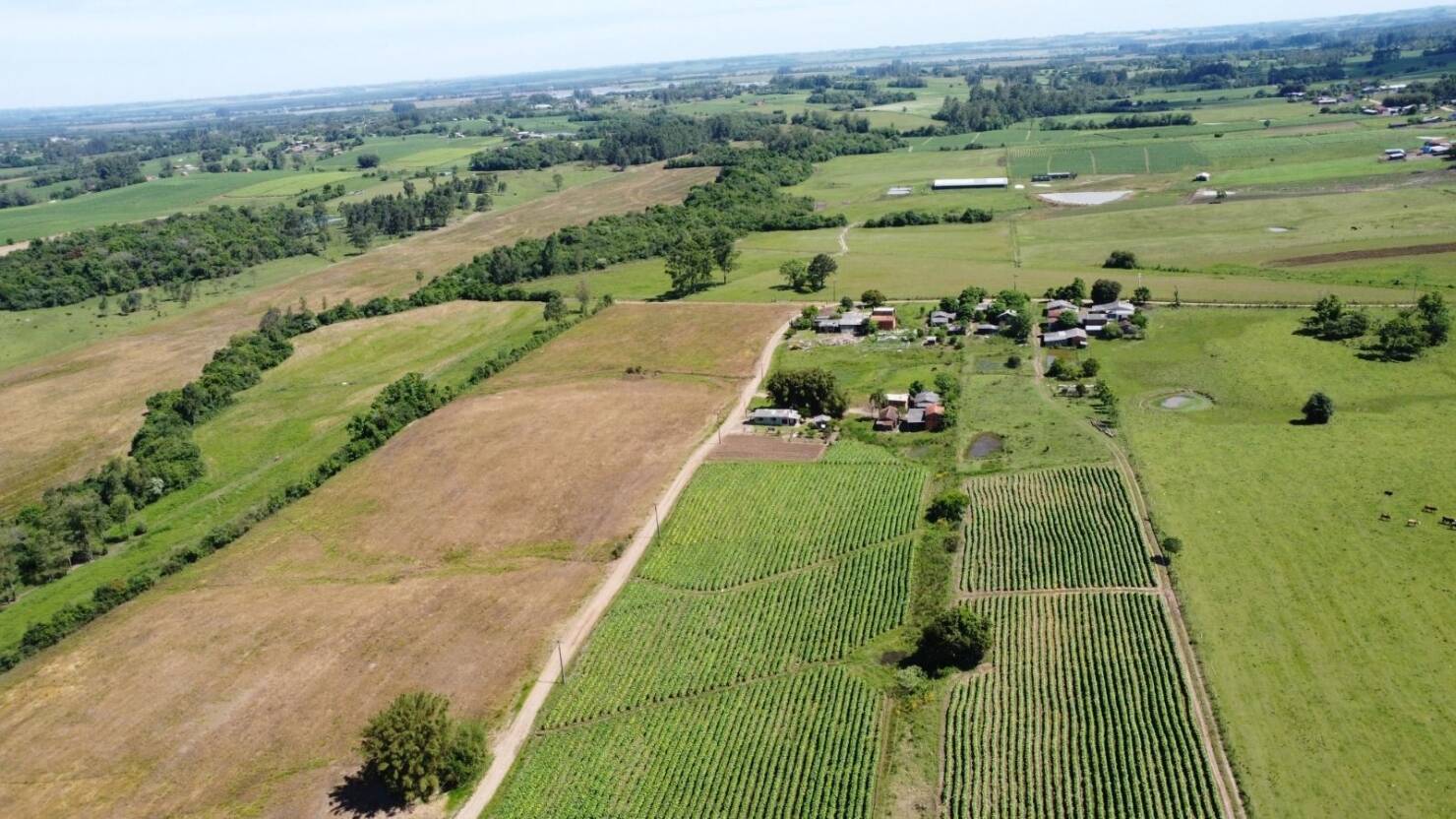 Fazenda à venda com 2 quartos, 68000m² - Foto 15
