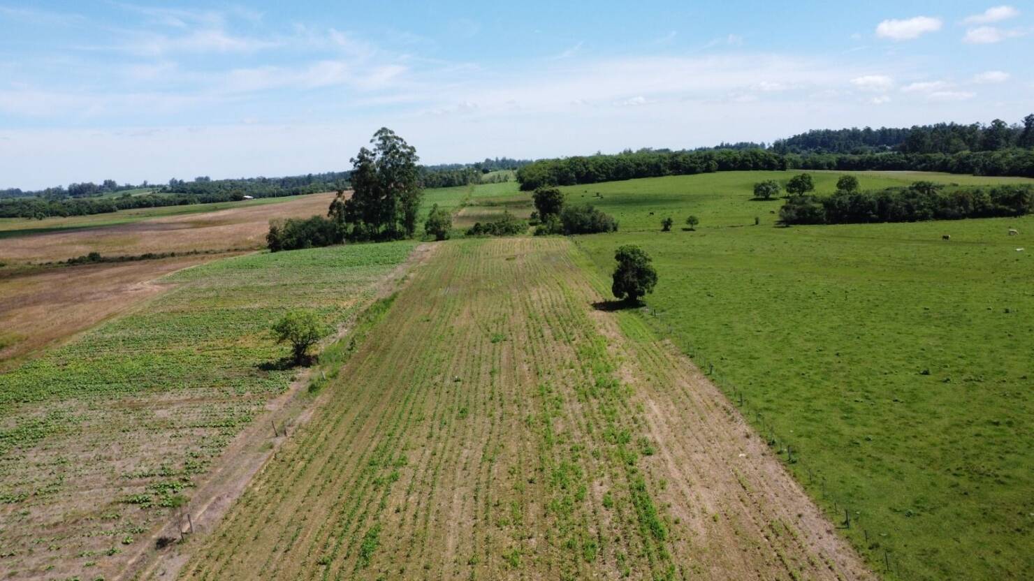 Fazenda à venda com 2 quartos, 68000m² - Foto 16