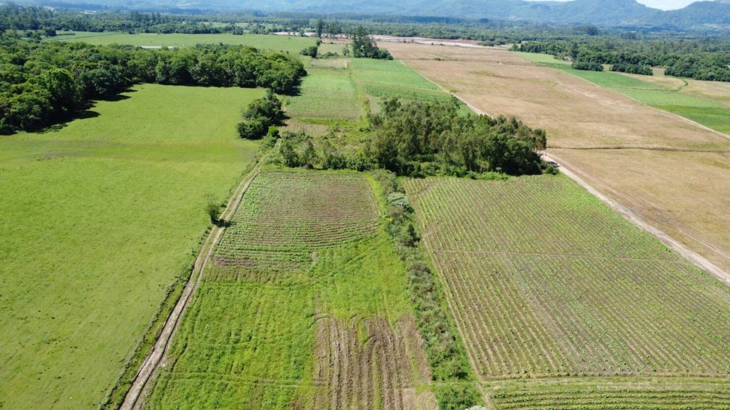 Fazenda à venda com 2 quartos, 68000m² - Foto 20