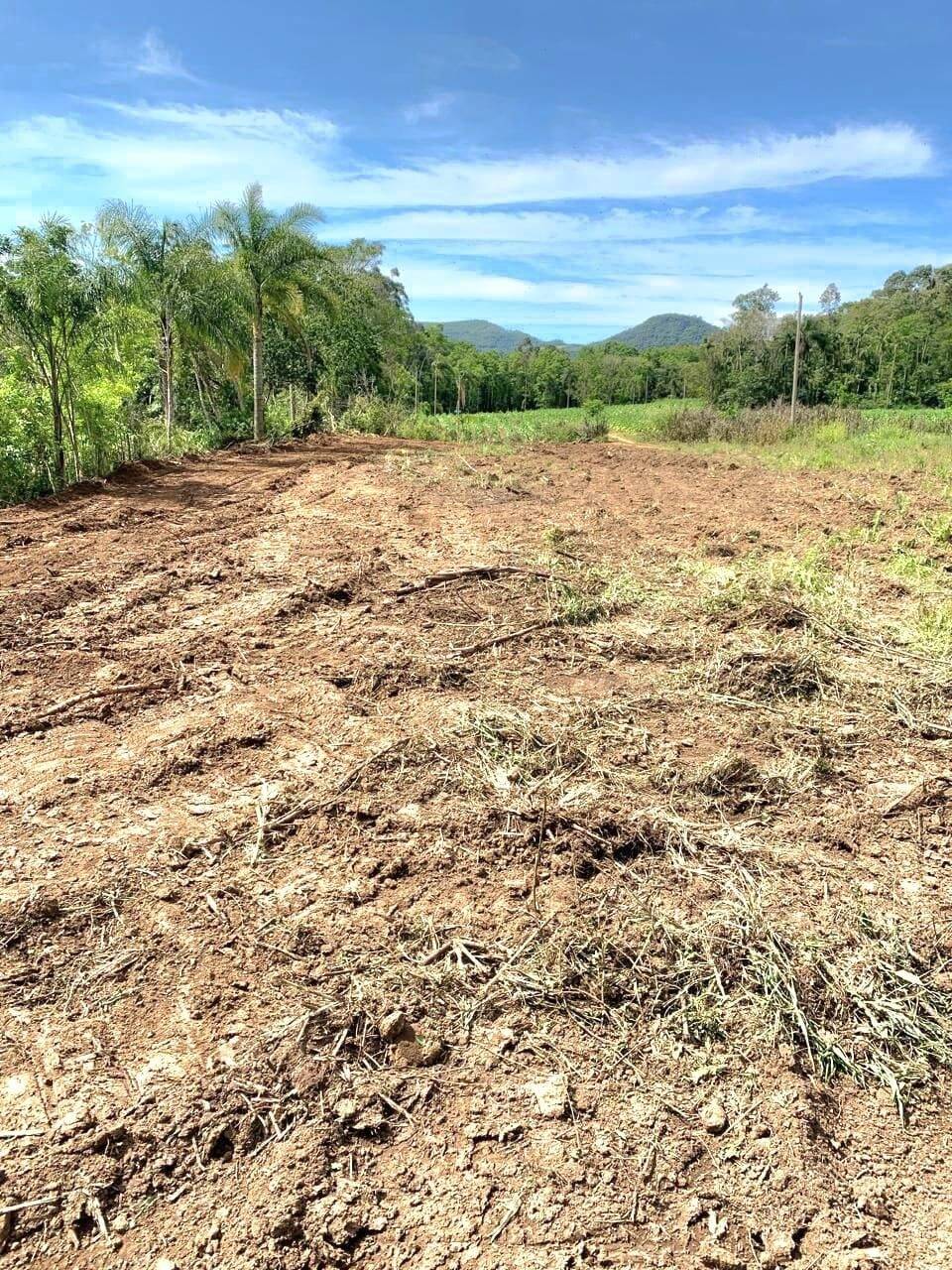 Terreno à venda com 1 quarto, 20880m² - Foto 4