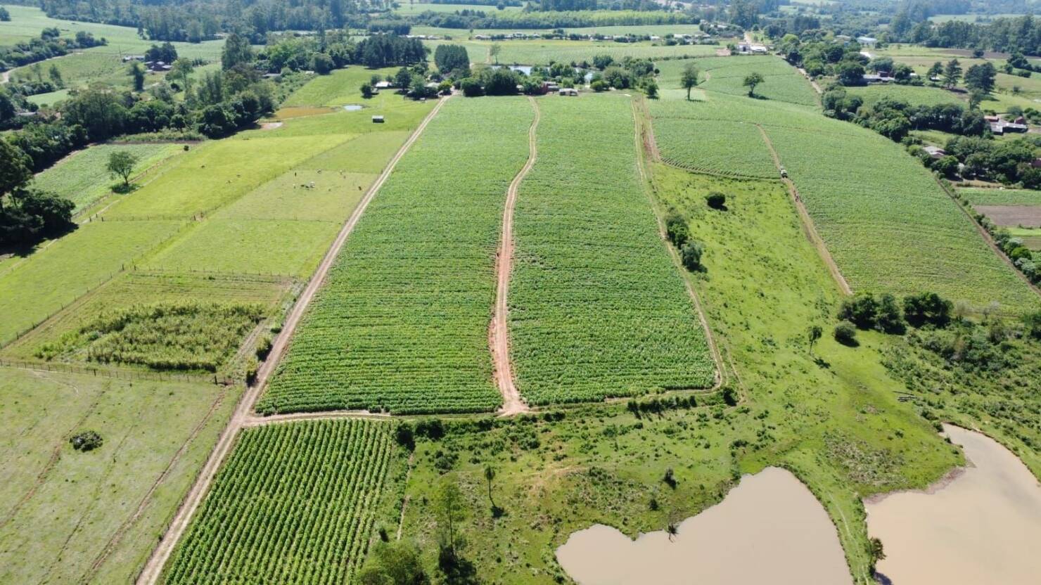 Fazenda à venda com 5 quartos, 210000m² - Foto 6