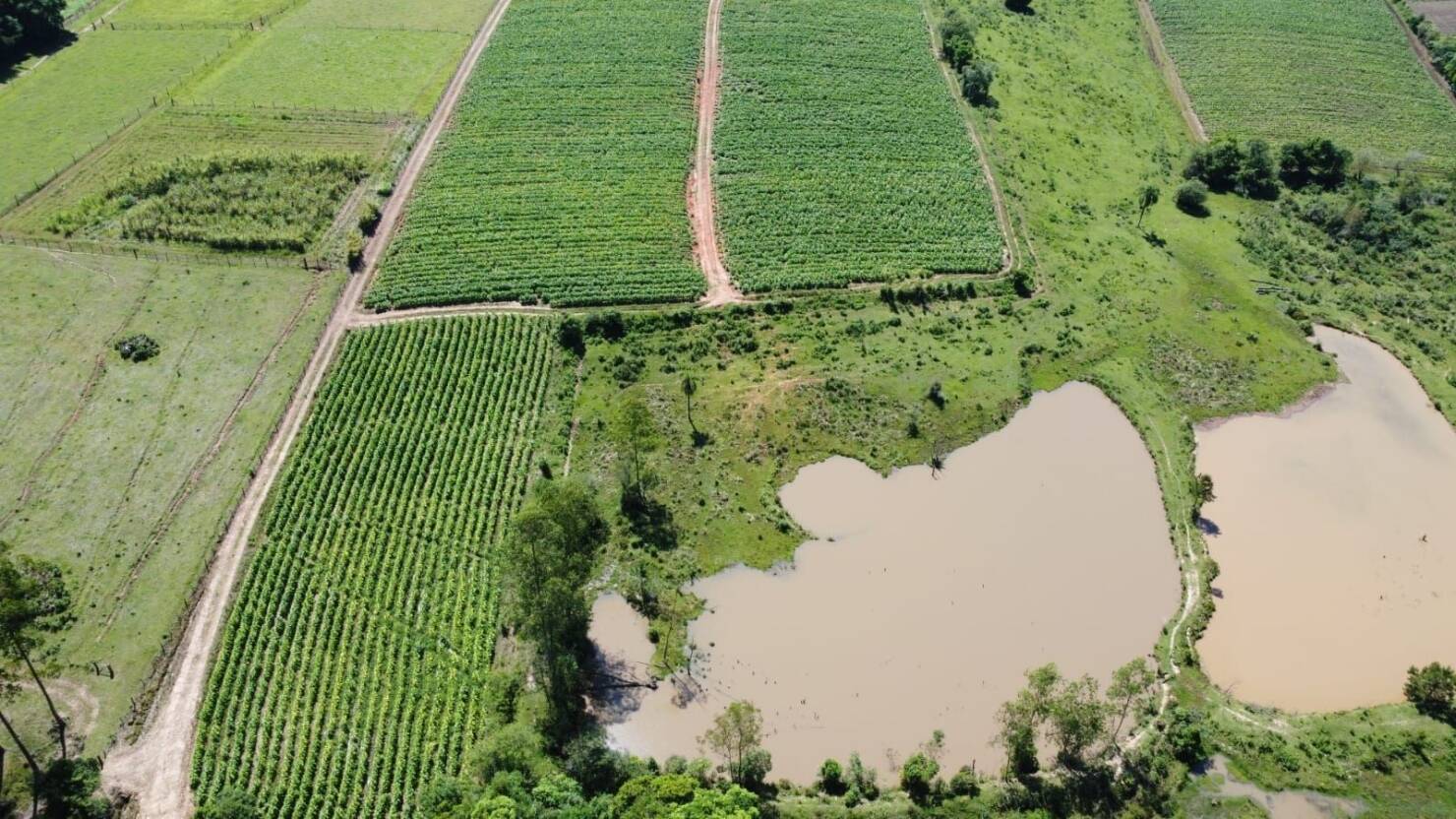 Fazenda à venda com 5 quartos, 210000m² - Foto 7