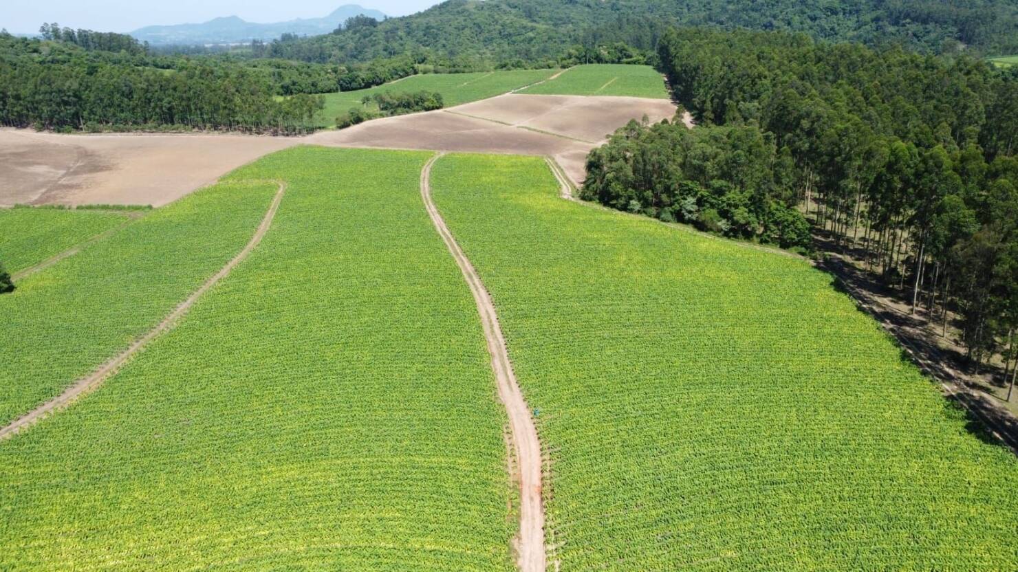 Fazenda à venda com 5 quartos, 210000m² - Foto 8