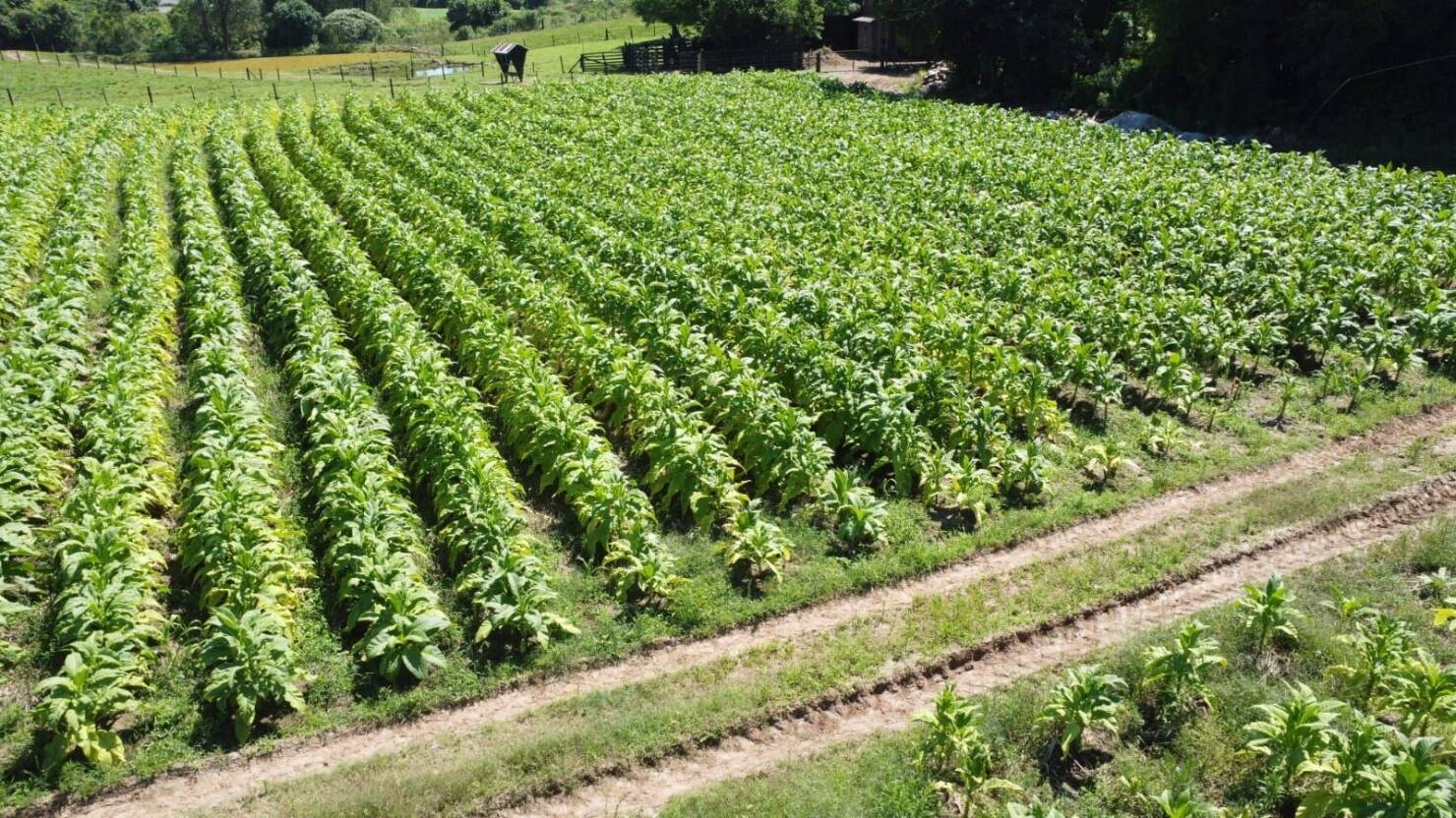 Fazenda à venda com 5 quartos, 210000m² - Foto 13