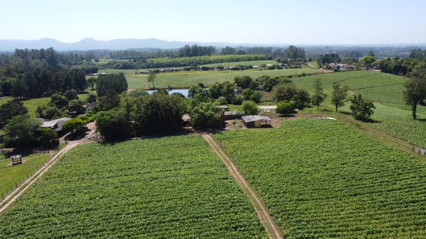Fazenda à venda com 5 quartos, 210000m² - Foto 15