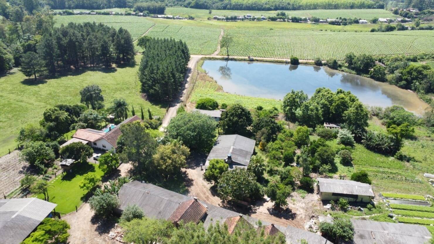 Fazenda à venda com 5 quartos, 210000m² - Foto 16