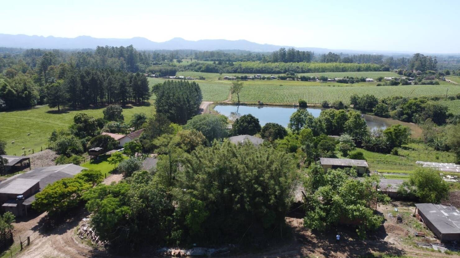 Fazenda à venda com 5 quartos, 210000m² - Foto 18