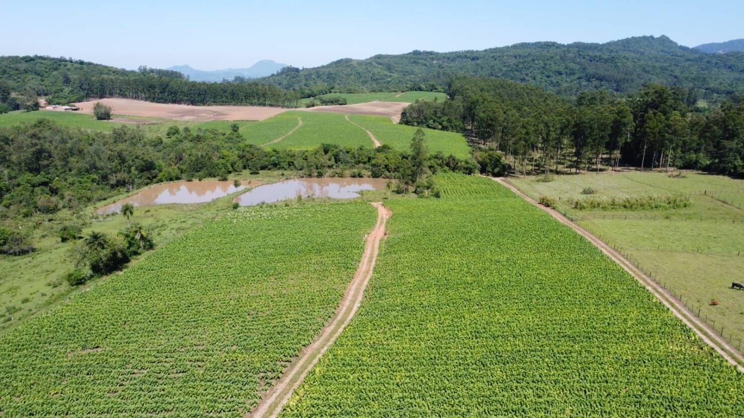 Fazenda à venda com 5 quartos, 210000m² - Foto 19