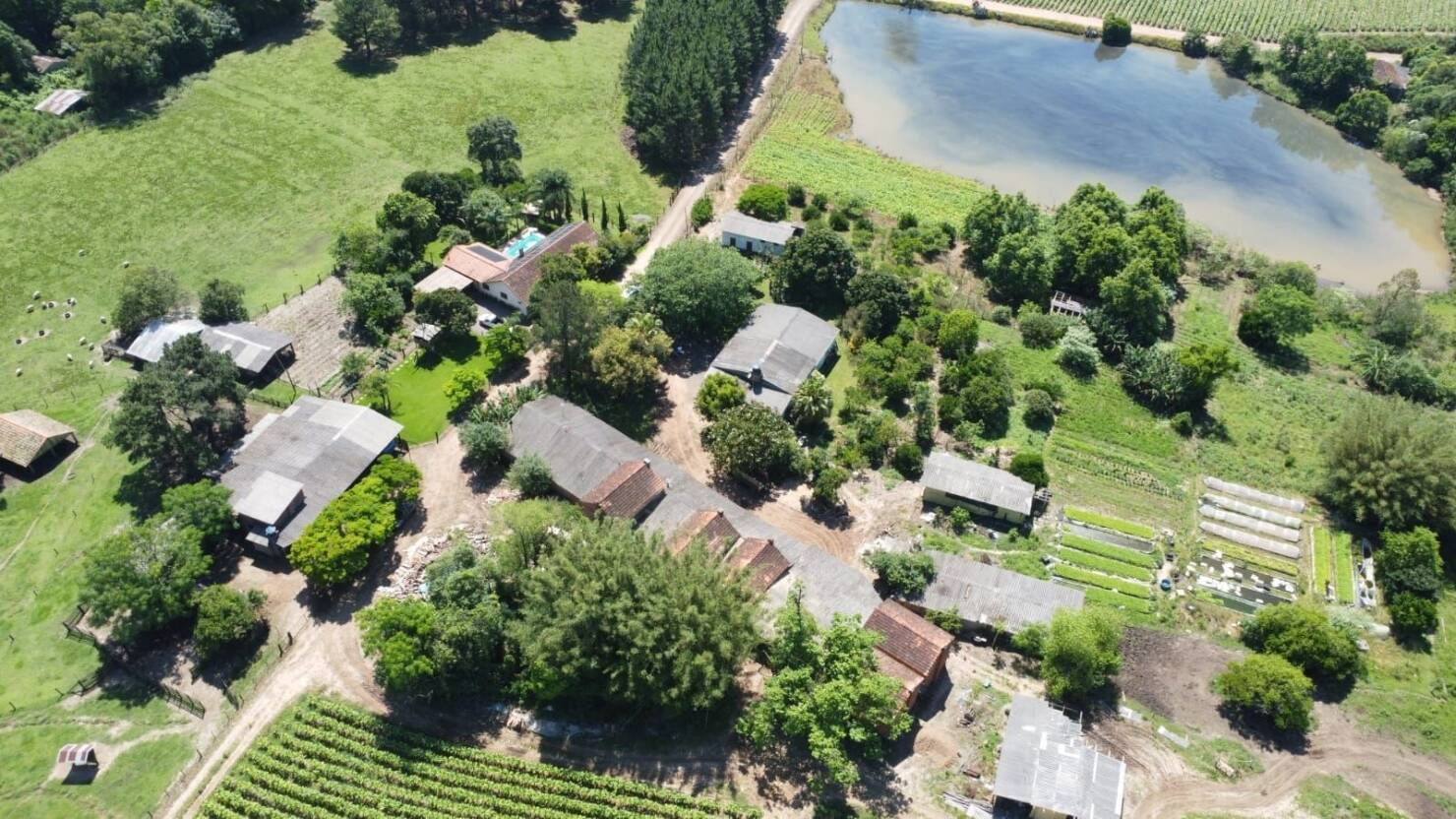 Fazenda à venda com 5 quartos, 210000m² - Foto 21
