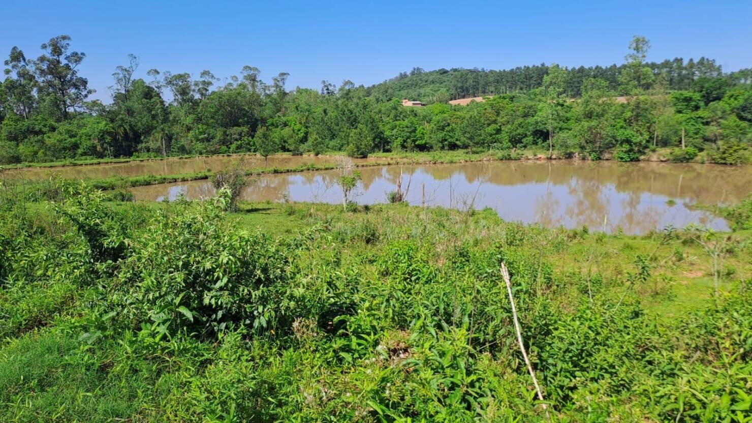 Fazenda à venda com 5 quartos, 210000m² - Foto 31