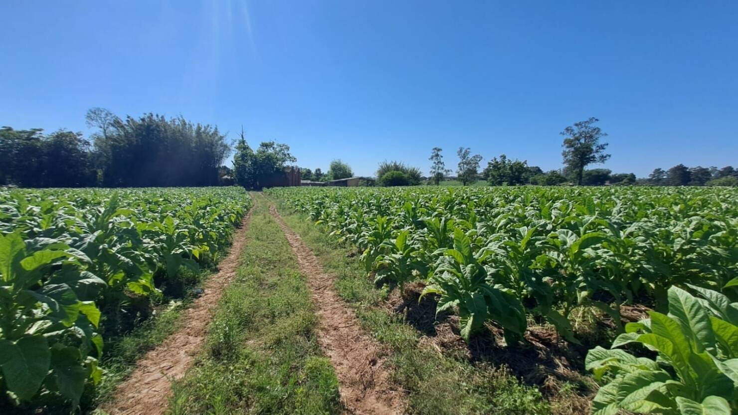 Fazenda à venda com 5 quartos, 210000m² - Foto 32
