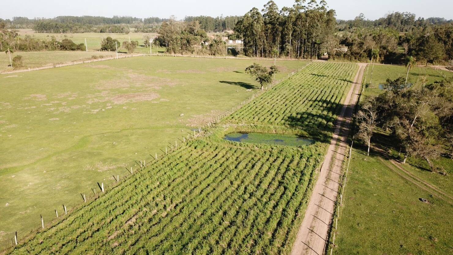 Sítio à venda com 3 quartos, 50000m² - Foto 15