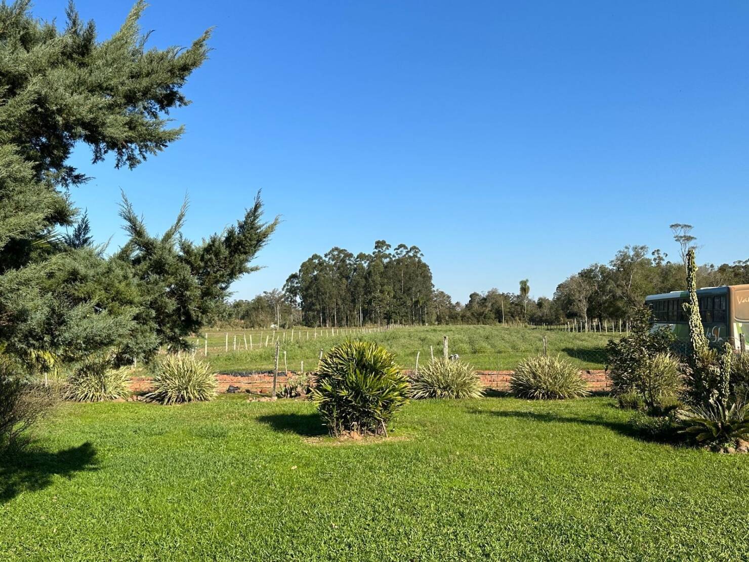 Sítio à venda com 3 quartos, 50000m² - Foto 16