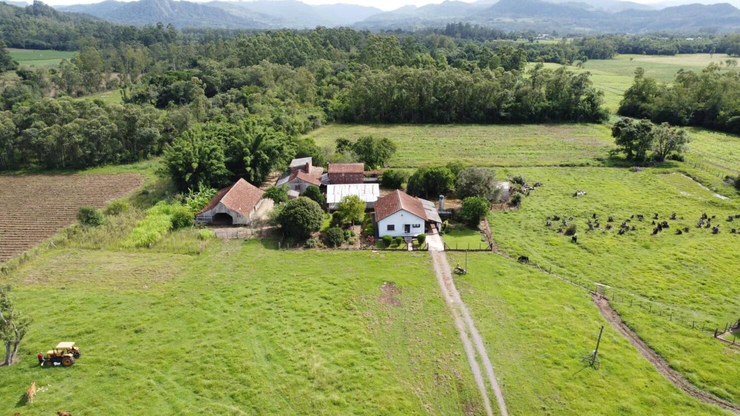 Fazenda à venda com 3 quartos, 240m² - Foto 6