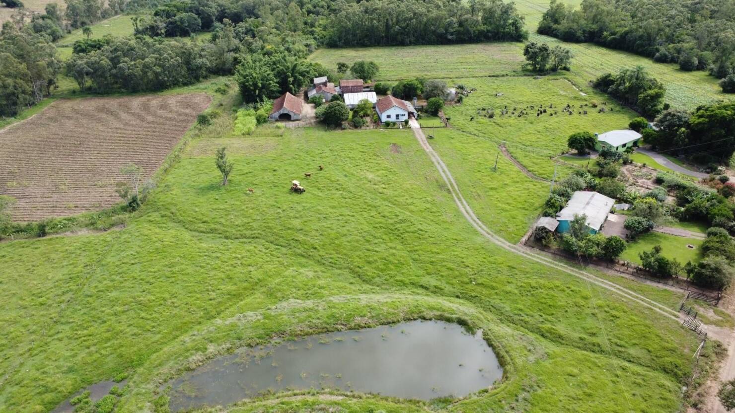 Fazenda à venda com 3 quartos, 240m² - Foto 7