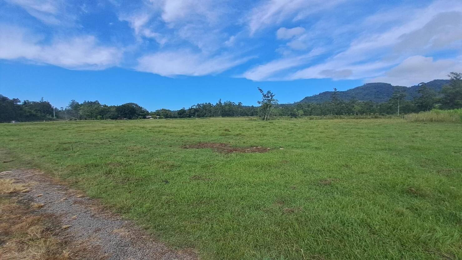 Fazenda à venda com 3 quartos, 240m² - Foto 24