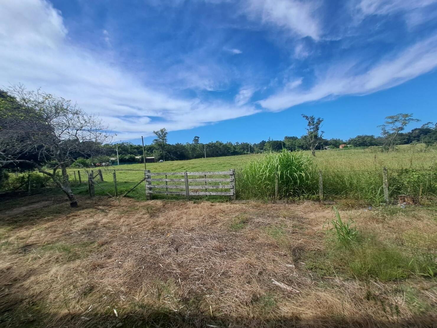 Fazenda à venda com 3 quartos, 240m² - Foto 25