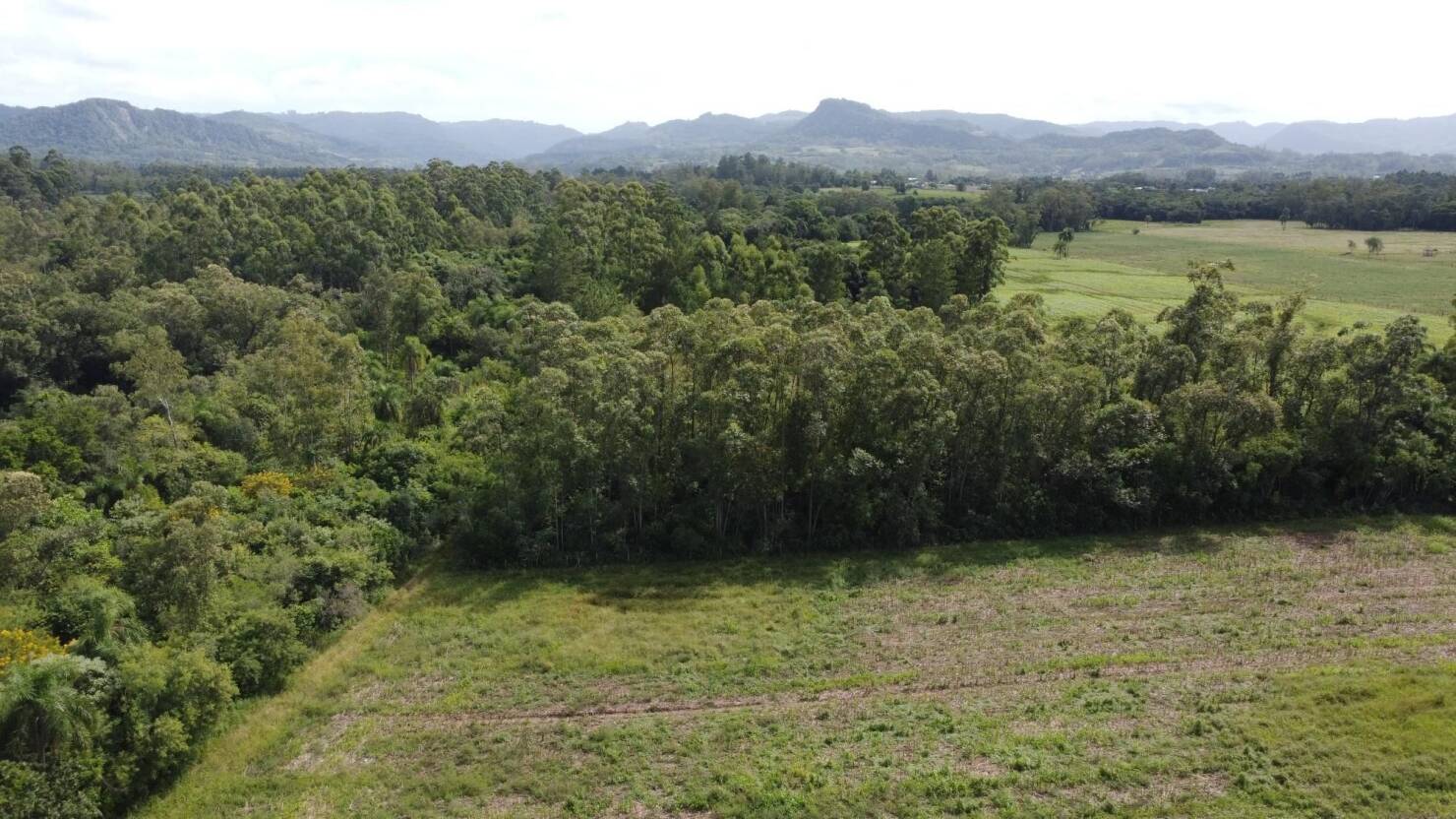 Fazenda à venda com 3 quartos, 240m² - Foto 26