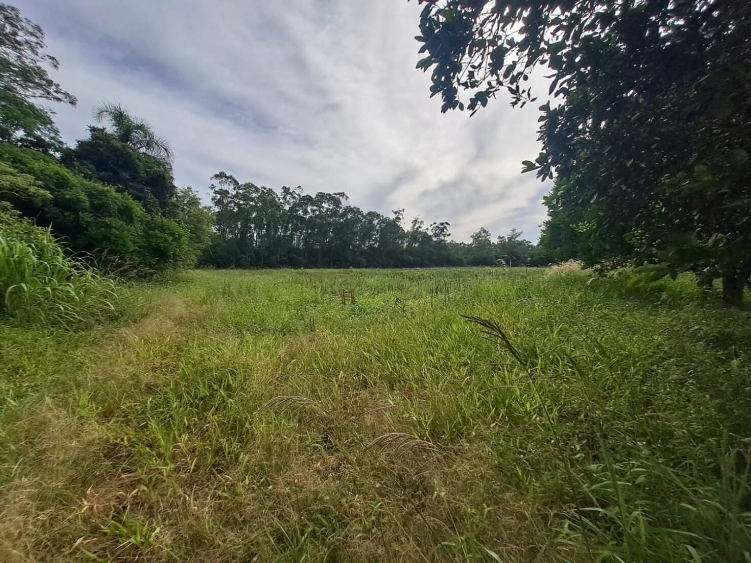 Fazenda à venda com 3 quartos, 240m² - Foto 30