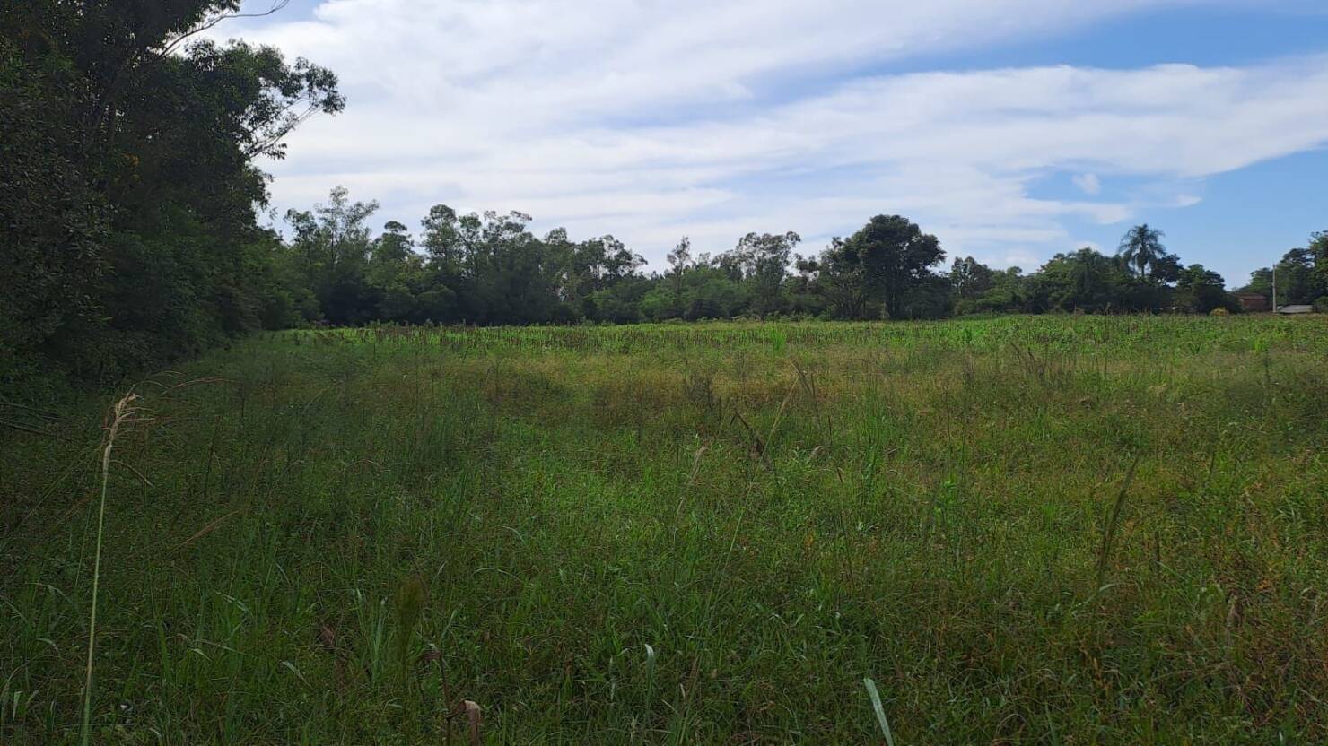 Fazenda à venda com 3 quartos, 240m² - Foto 31