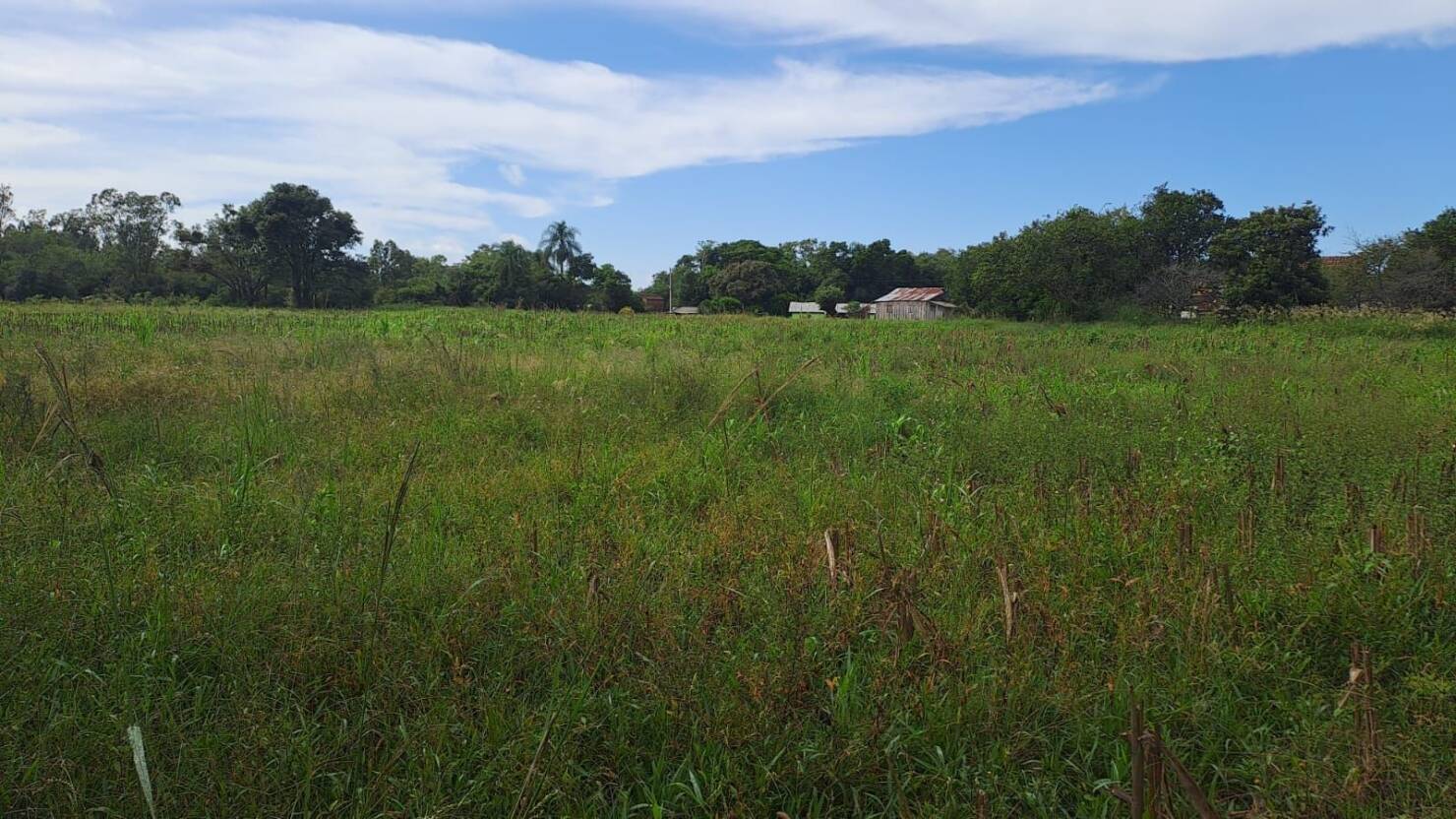 Fazenda à venda com 3 quartos, 240m² - Foto 1