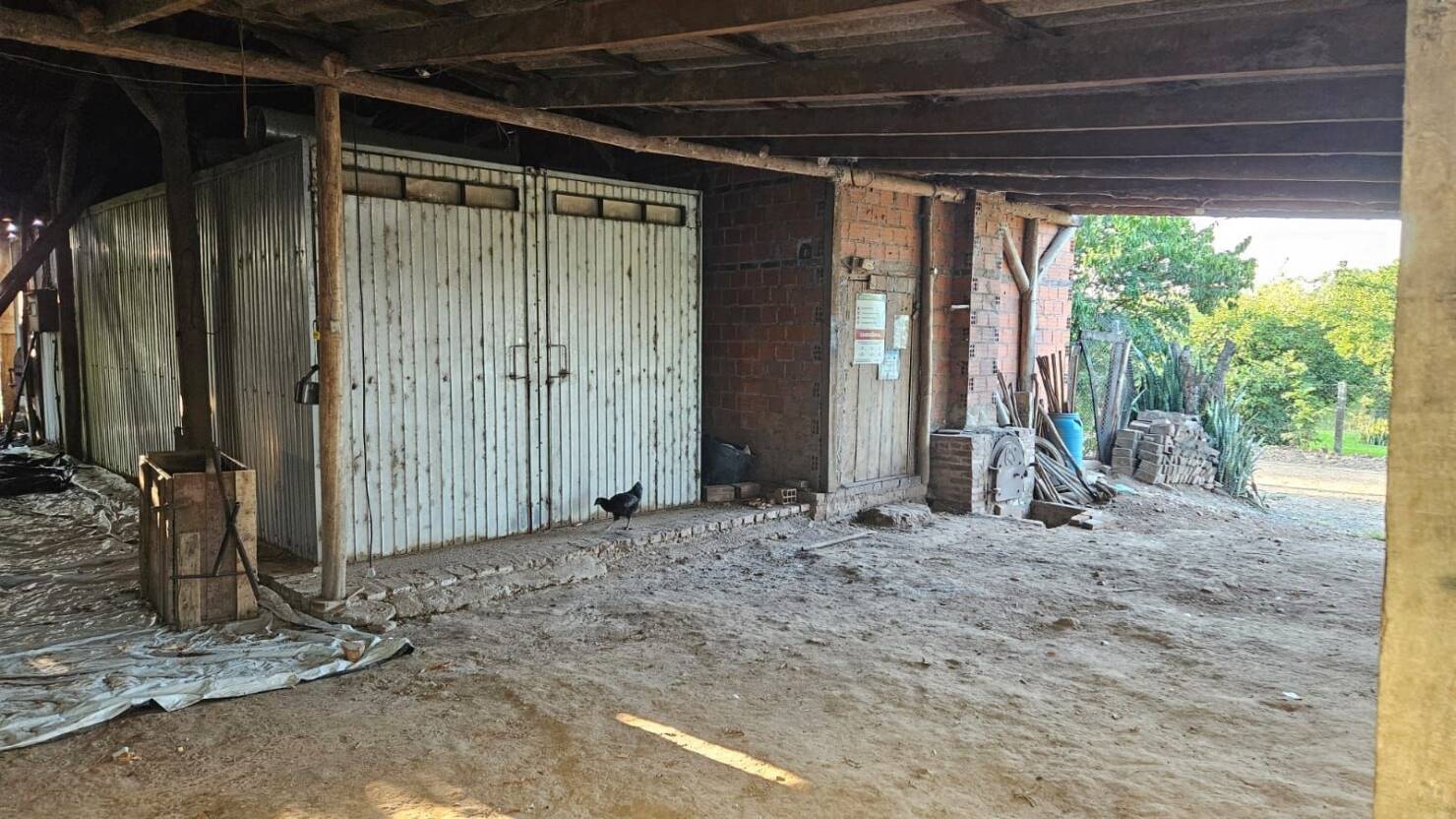 Fazenda à venda com 3 quartos, 250m² - Foto 14